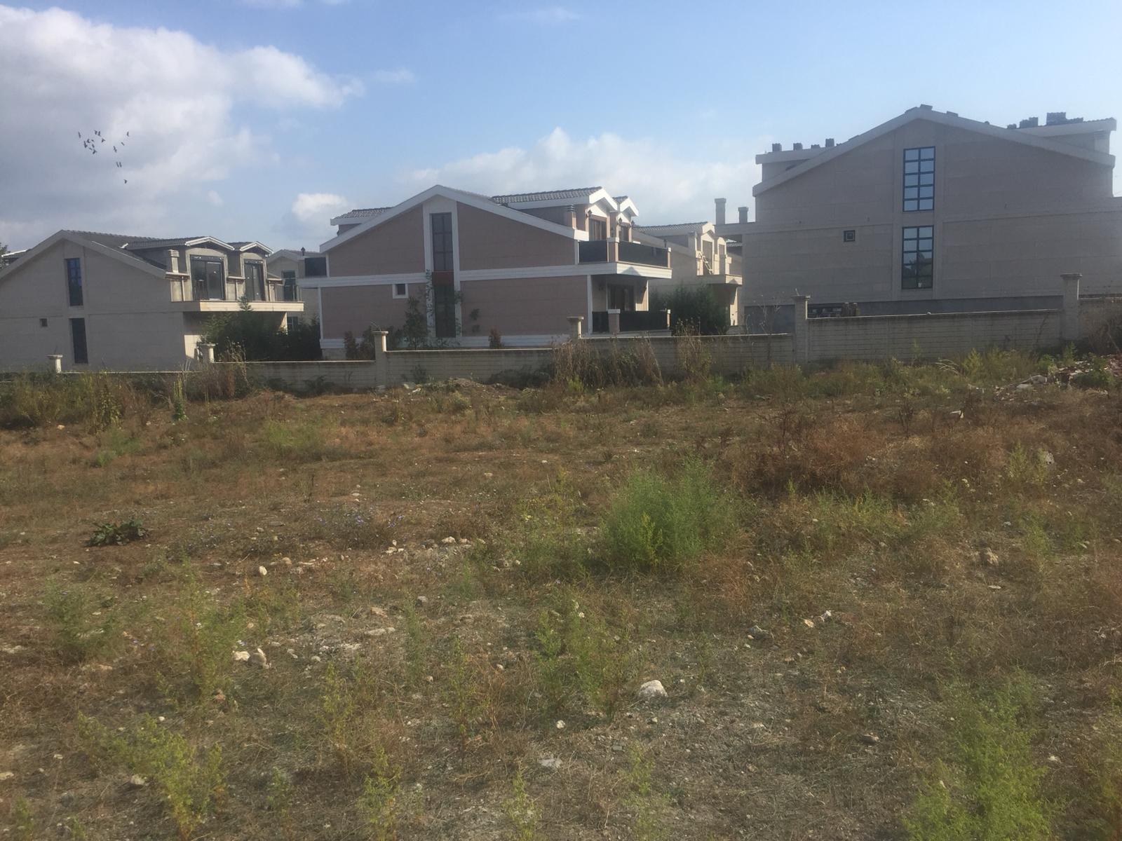 Fotoğraf 26