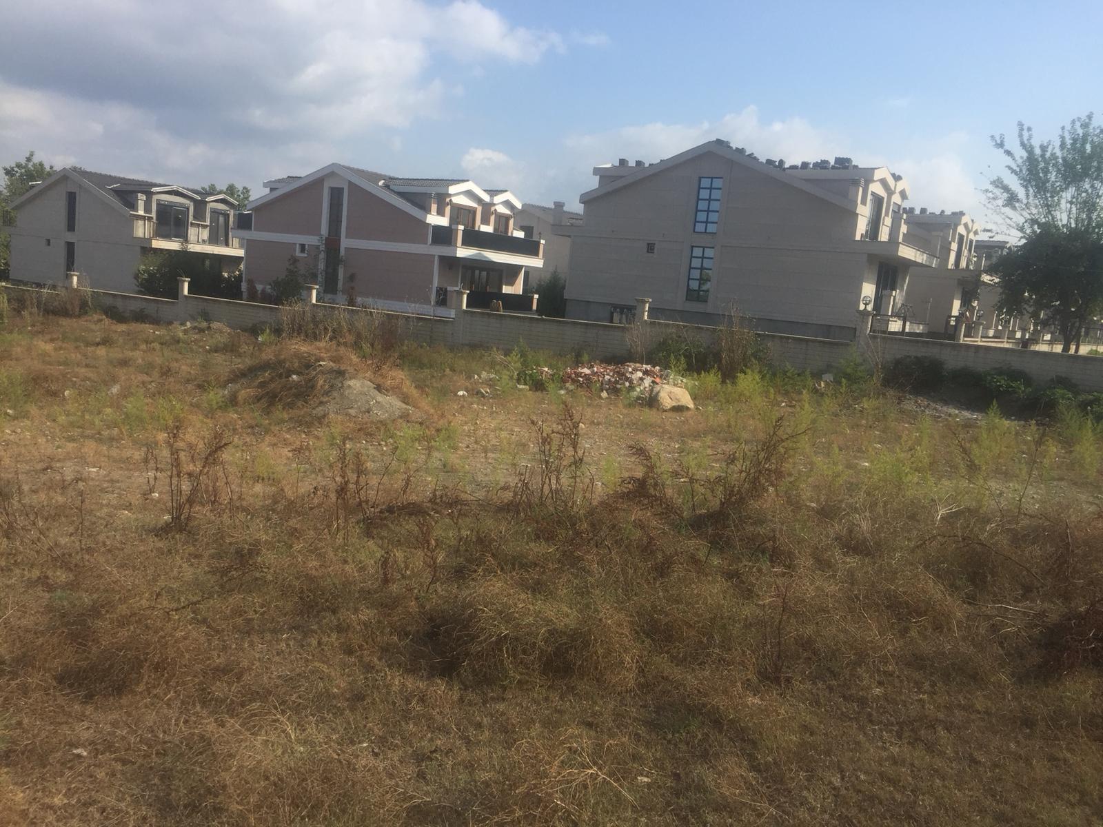 Fotoğraf 28